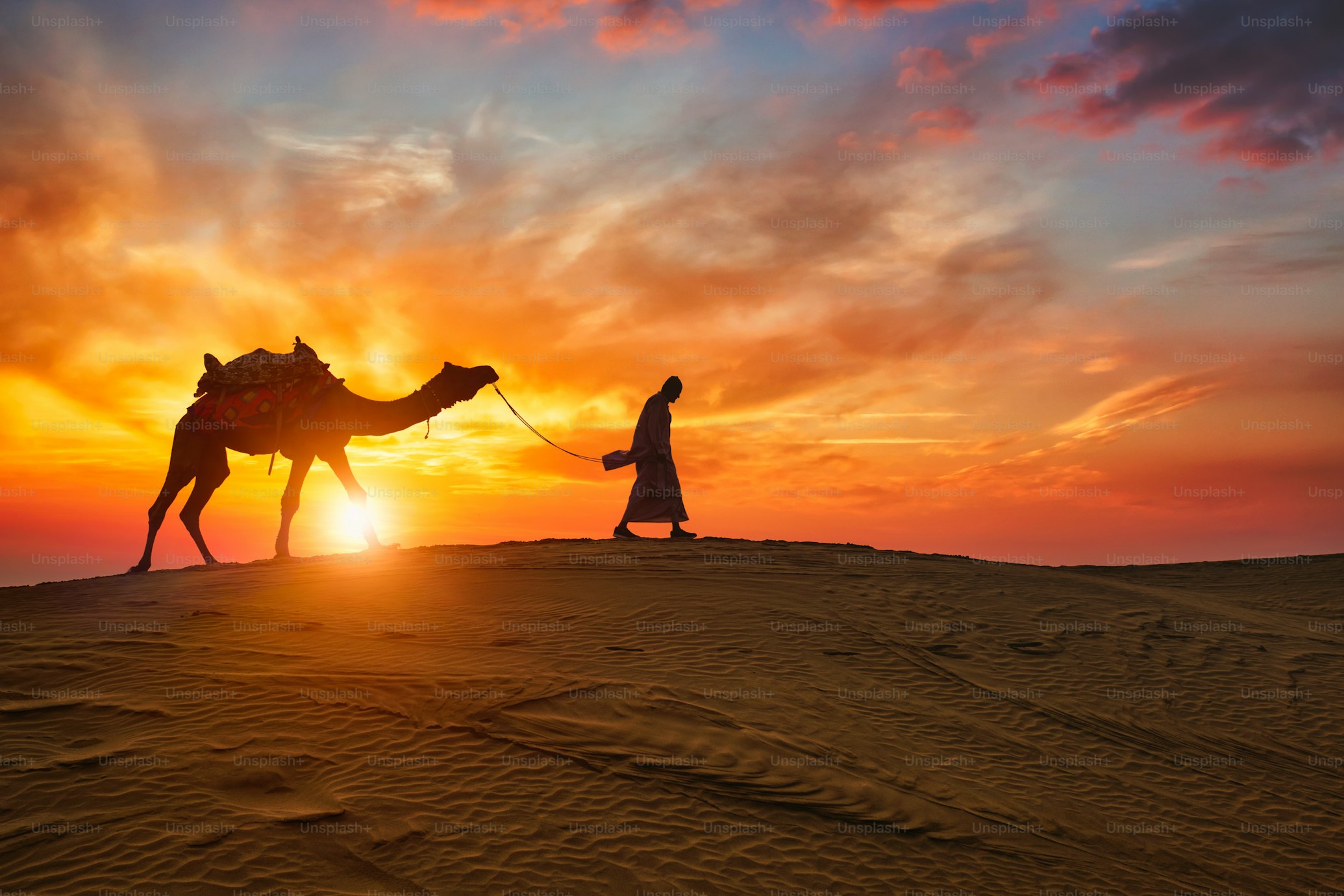 Rajasthan Desert